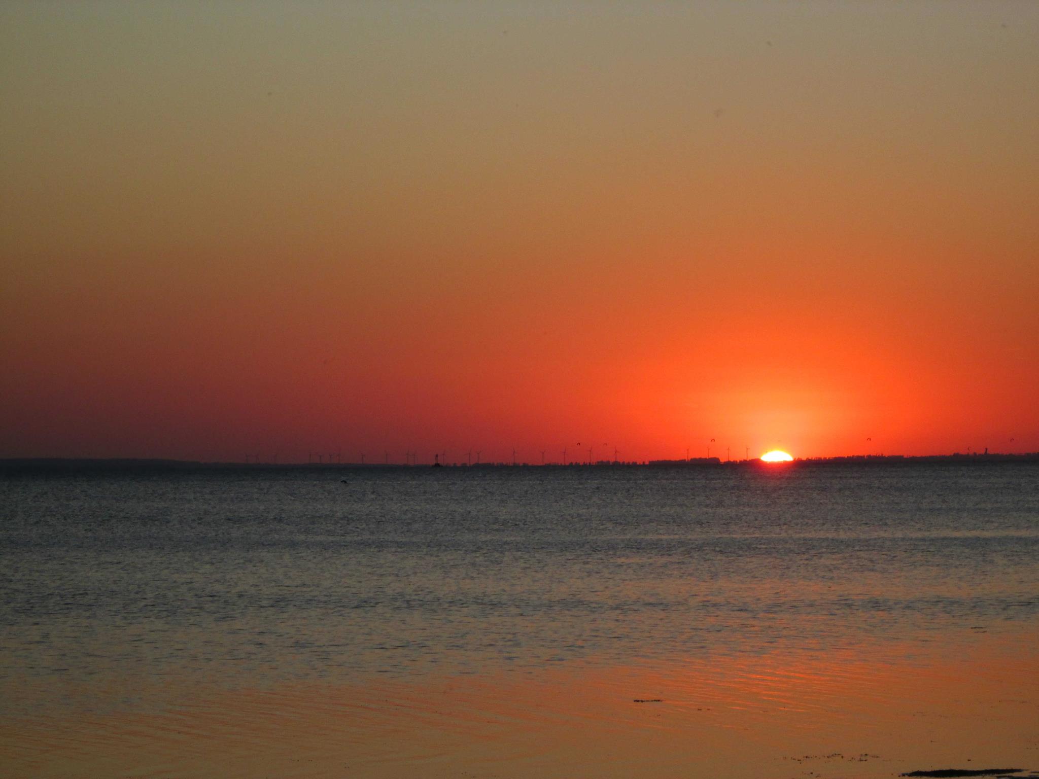 decorative background image