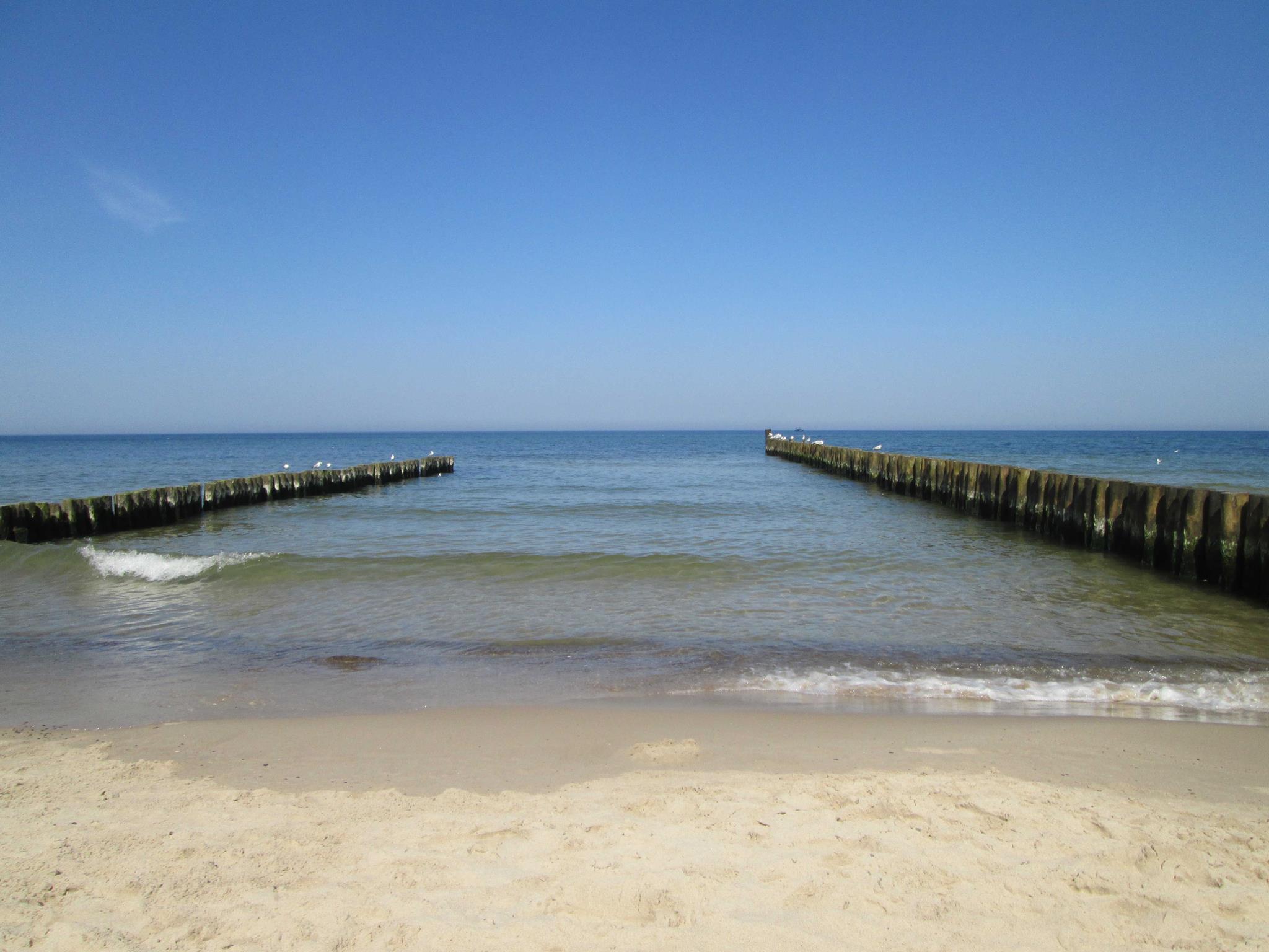 decorative background image